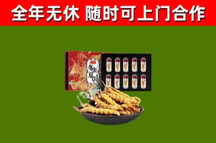栾城烟酒回收冬虫夏草礼盒.jpg