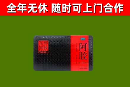栾城回收阿胶