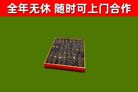 栾城回收海参